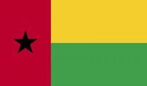 Indoor - Guinea-Bissau - Nylon Polehem- 3x5