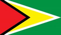 Indoor - Guyana - Nylon Polehem - 3x5