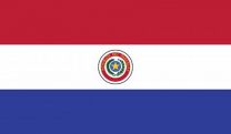 Indoor - Paraguay - Nylon Polehem - 3x5