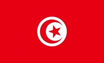 Indoor - Tunisia - Nylon Polehem- 3x5