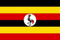 Indoor - Uganda - Nylon Polehem - 3x5