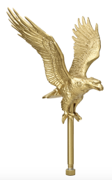Flying Eagle