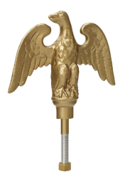 Landed Eagle with Ball